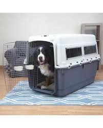 dog seated inside a crate with the crate door open