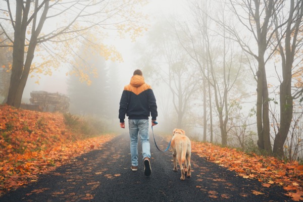 Rural road in mysterious fog. Man with dog on the trip in autumn nature.