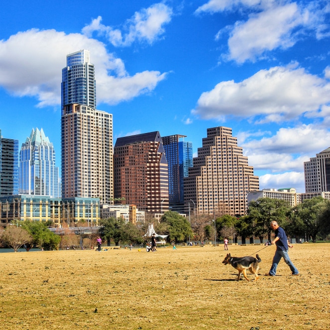 Domestic pet relocations