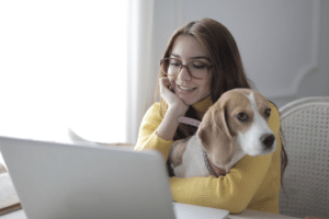 pet laptop