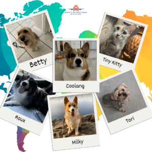 A graphic with the world map in the background and pictures of pets (dogs and a cat) to show the reader what pet moves are being highlighted.