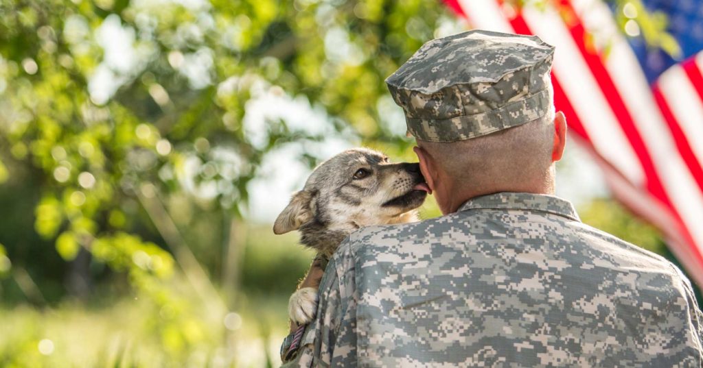 dog-veterans-1