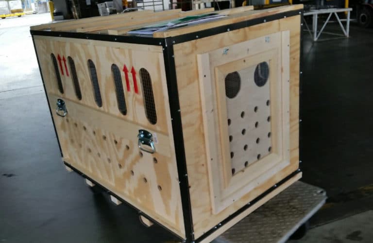 Pet Crates - Everything You Need To Know Related to Travel