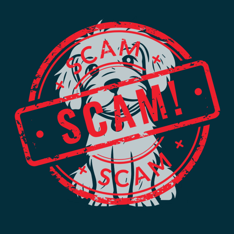 white dog and pet scam label