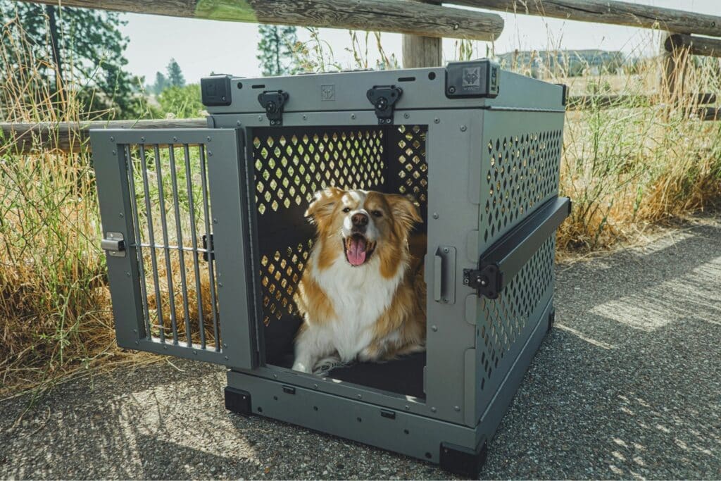 Airpets Cost to Fly a Dog