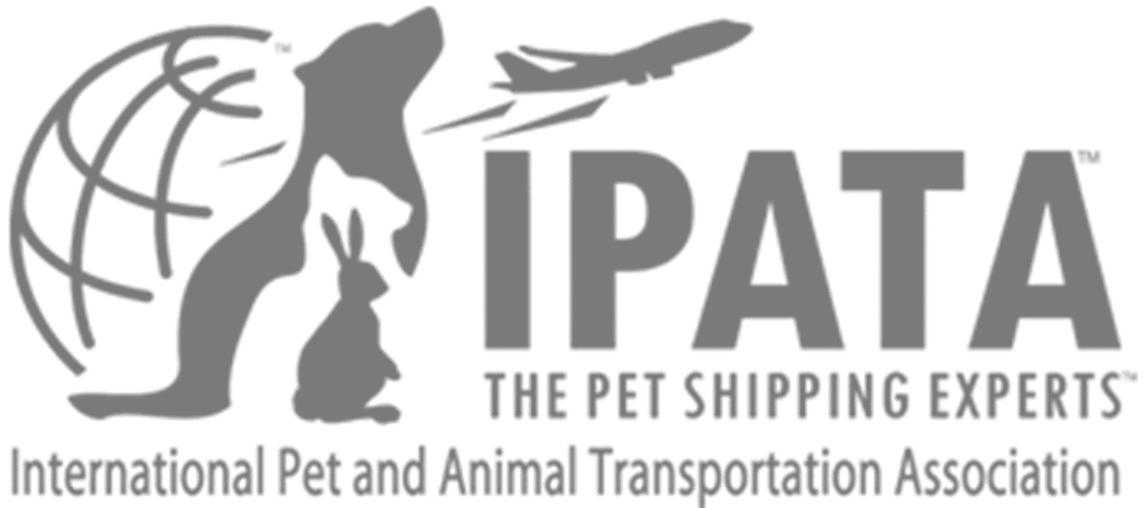 IPATA logo grey