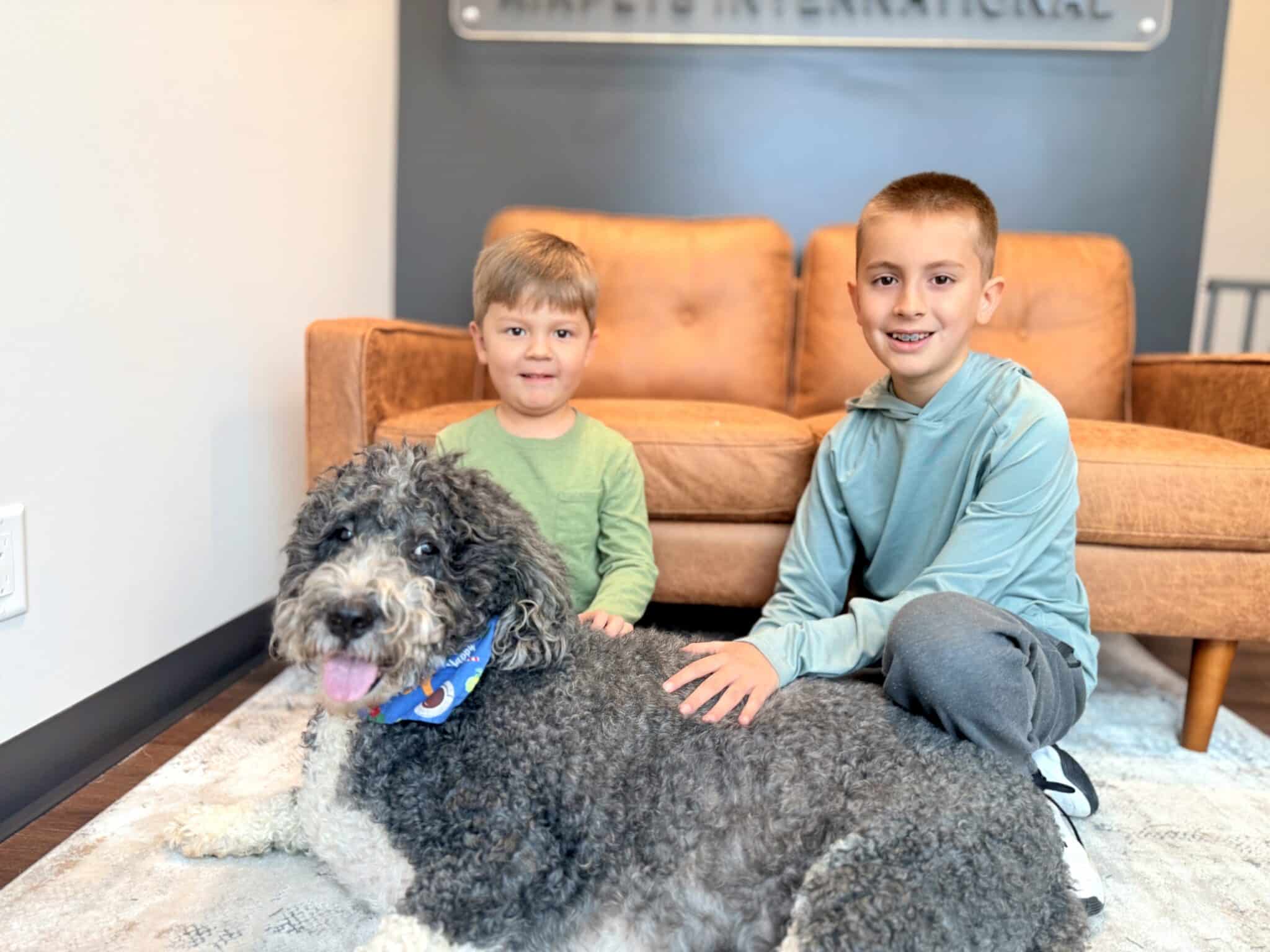 Departure & Destination Services - Airpets International