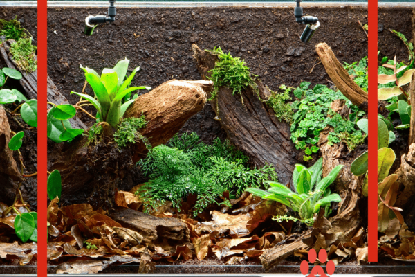 the best ways to ship your reptiles safely and legally